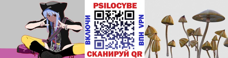 Псилоцибиновые грибы Magic Shrooms  Иланский 